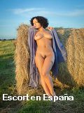 Tus Musas en en Limoux